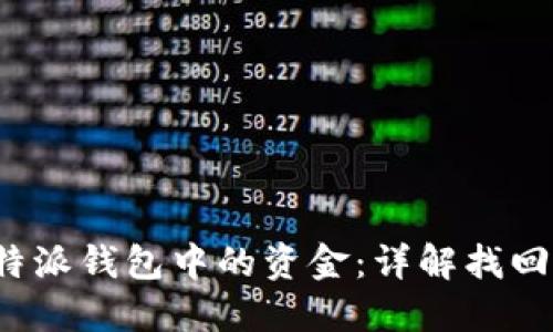 如何找回b特派钱包中的资金：详解找回流程与技巧