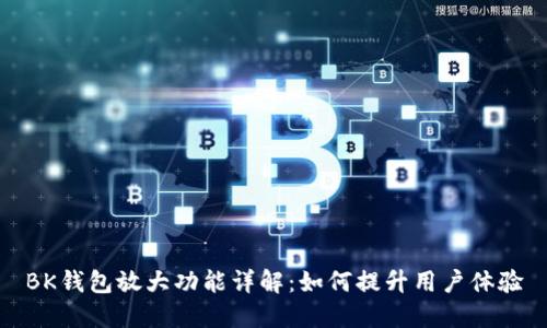 BK钱包放大功能详解：如何提升用户体验