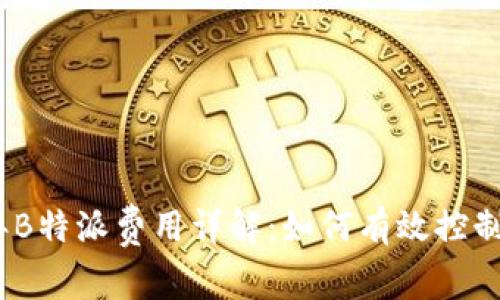 2023年B特派费用详解：如何有效控制和申报