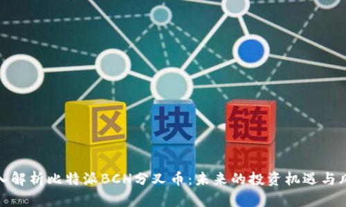 深入解析比特派BCH分叉币：未来的投资机遇与风险