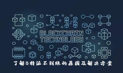 了解B特派不到账的原因及解决方案