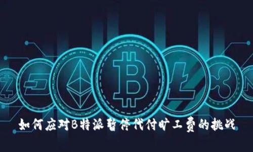 如何应对B特派暂停代付旷工费的挑战