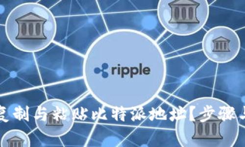 如何快速复制与粘贴比特派地址？步骤与技巧详解