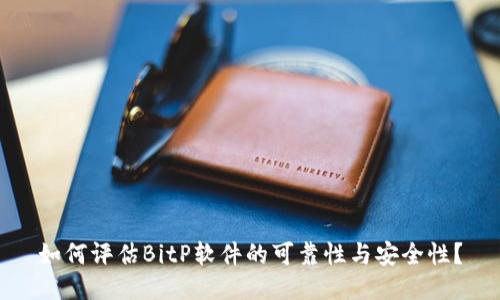 如何评估BitP软件的可靠性与安全性？
