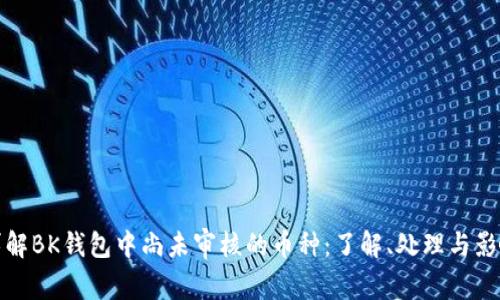 详解BK钱包中尚未审核的币种：了解、处理与影响