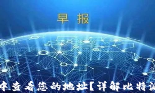 
如何在比特派中查看您的地址？详解比特派地址查询方法