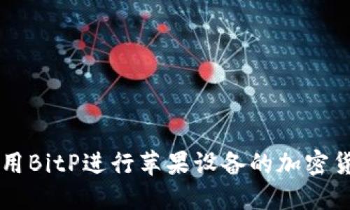 如何使用BitP进行苹果设备的加密货币交易