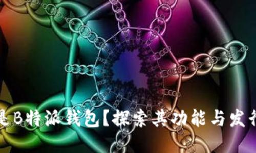 什么是B特派钱包？探索其功能与发行时间