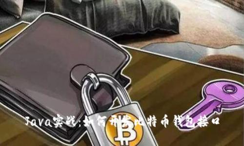 Java实战：如何开发比特币钱包接口
