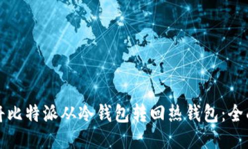 如何将比特派从冷钱包转回热钱包：全面指南
