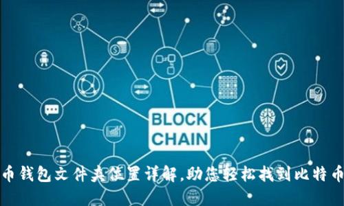 比特币钱包文件夹位置详解，助您轻松找到比特币数据