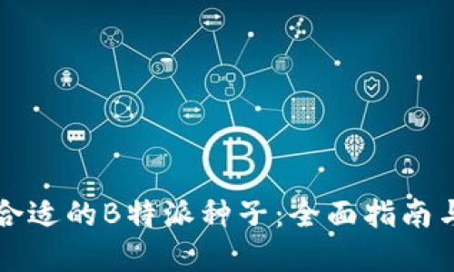 如何选择合适的B特派种子：全面指南与最佳实践