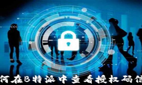 
如何在B特派中查看授权码信息
