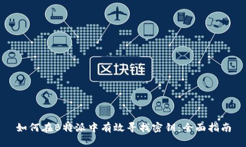 如何在B特派中有效寻找密钥：全面指南