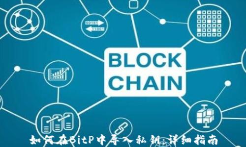 
如何在BitP中导入私钥：详细指南