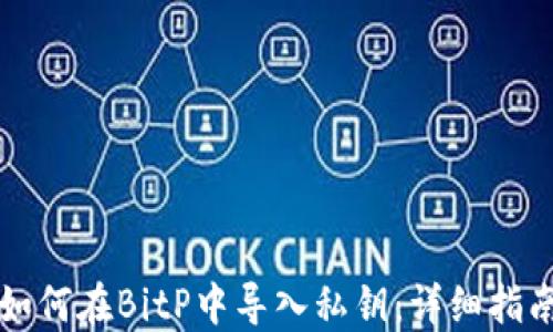 
如何在BitP中导入私钥：详细指南