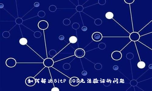 如何解决BitP iOS无法验证的问题