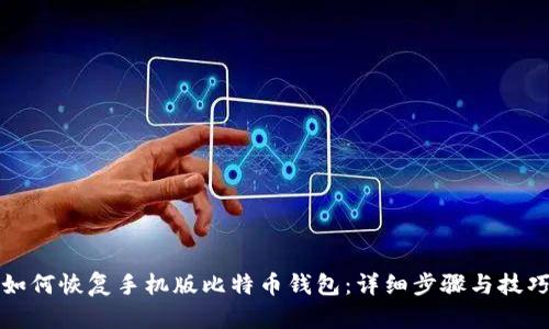 如何恢复手机版比特币钱包：详细步骤与技巧
