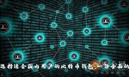 如何选择适合国内用户的比特币钱包：一份全面的指南