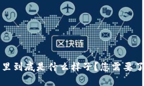 比特币在钱包里到底是什么样子？您需要了解的所有信息