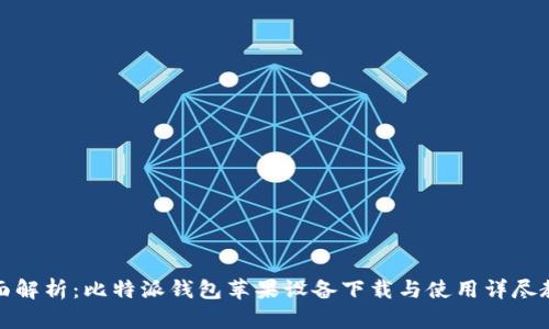 全面解析：比特派钱包苹果设备下载与使用详尽教程