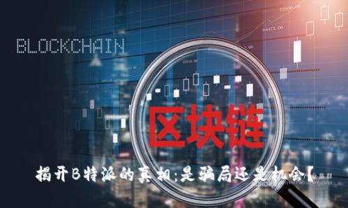 揭开B特派的真相：是骗局还是机会？