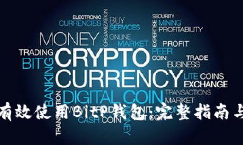 如何有效使用BitP钱包：完整指南与技巧