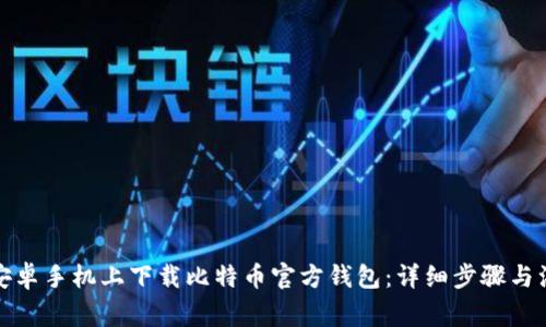 如何在安卓手机上下载比特币官方钱包：详细步骤与注意事项