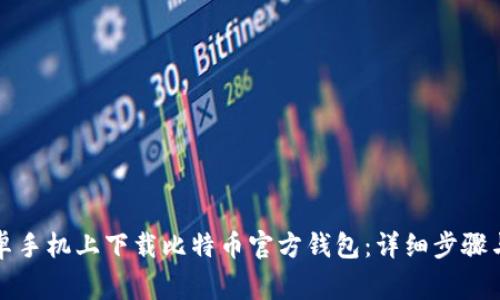 如何在安卓手机上下载比特币官方钱包：详细步骤与注意事项