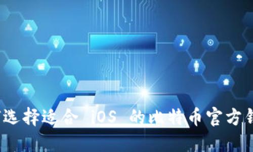 如何选择适合 iOS 的比特币官方钱包？
