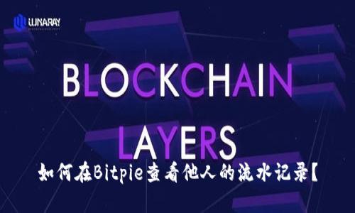 如何在Bitpie查看他人的流水记录？