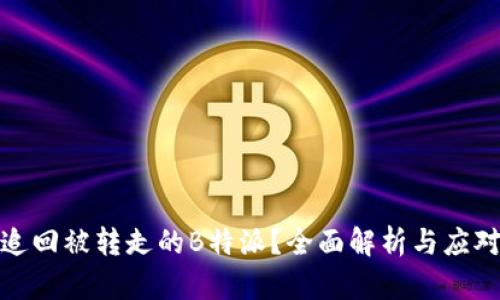 如何追回被转走的B特派？全面解析与应对策略