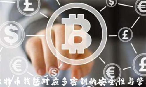 
一个比特币钱包对应多密钥的安全性与管理技巧