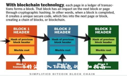 B特派导入TP钱包的详细指南
