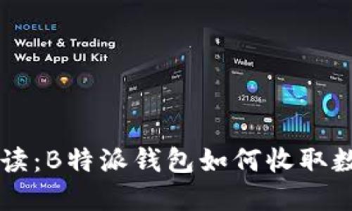 详细解读：B特派钱包如何收取数字货币