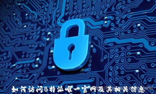 
如何访问B特派唯一官网及其相关信息