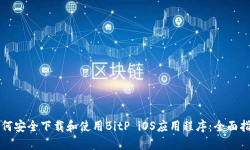 如何安全下载和使用BitP iOS应用程序：全面指南