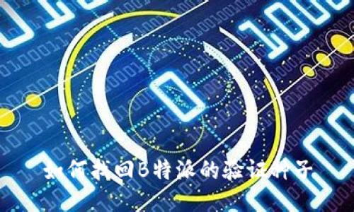 如何找回B特派的验证种子
