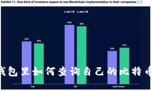 在QQ钱包里如何查询自己的比特币资产？