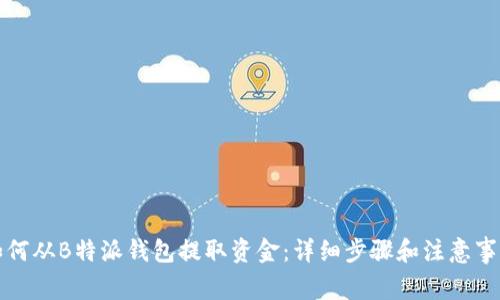 如何从B特派钱包提取资金：详细步骤和注意事项