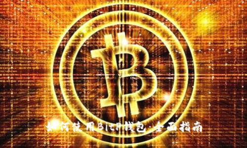 如何使用BitP钱包：全面指南