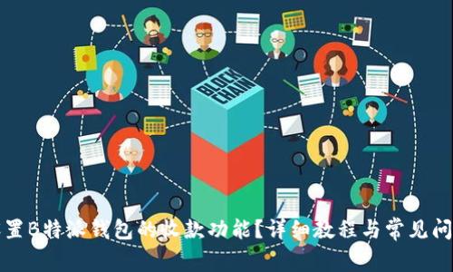 怎样设置B特派钱包的收款功能？详细教程与常见问题解答
