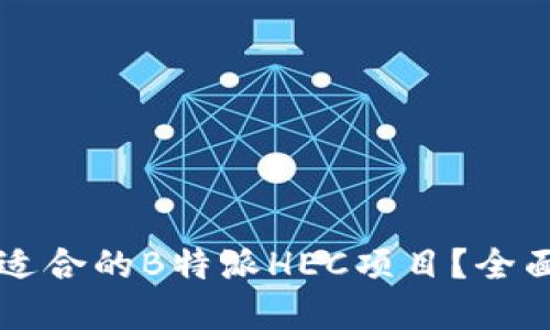 ### 如何选择适合的B特派HEC项目？全面指南与实用技巧