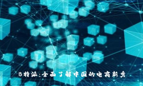 B特派：全面了解中国的电商新秀