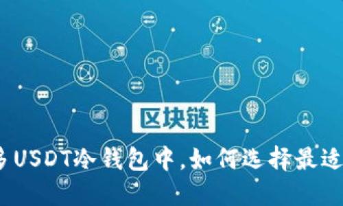 在众多USDT冷钱包中，如何选择最适合的？