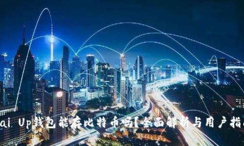 Pai Up钱包能存比特币吗？全面解析与用户指南