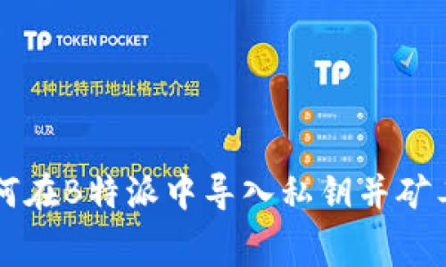 如何在B特派中导入私钥并矿工费