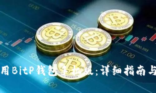 如何下载和使用BitP钱包手机版：详细指南与常见问题解答