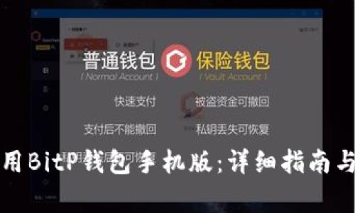 如何下载和使用BitP钱包手机版：详细指南与常见问题解答