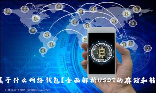 USDT属于什么网络钱包？全面解析USDT的存储和转账方式
